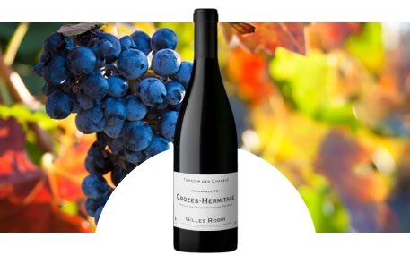 Domaine Gilles Robin