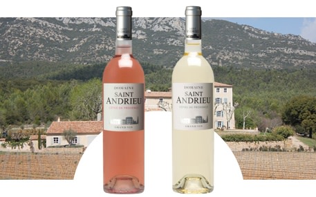 Domaine Saint Andrieu