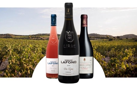 Domaine Lafond Roc-Epine