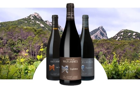 Château de Valflaunès