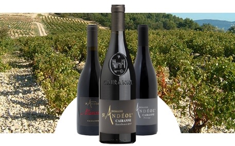 Domaine Saint Andéol