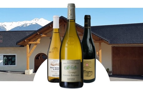 Domaine Jean Vullien