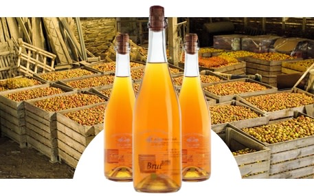 Domaine de Kervéguen