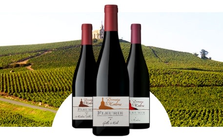 Domaine de La Madone