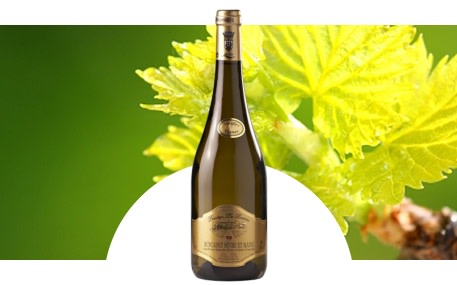 Castello La Perrière