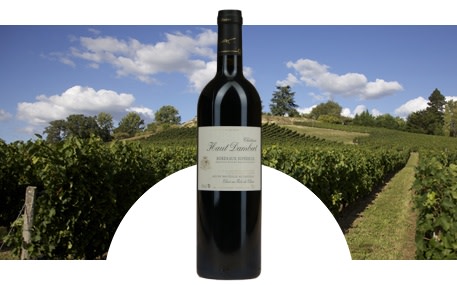 Château Haut Dambert