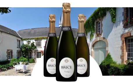 Champagne Brice