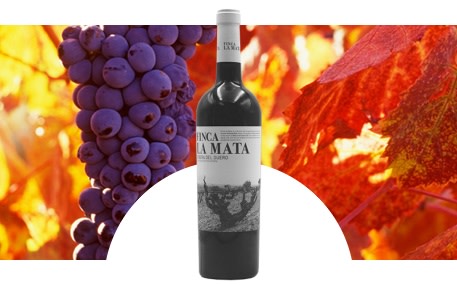 Isaac Fernandez Seleccion