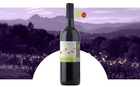 Die Terrassen der Cevennen