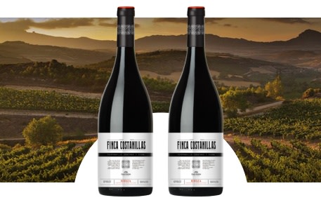 Bodegas y Viñedos Zuazo Gastón