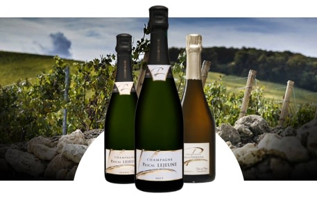 Champagne Pascal Lejeune