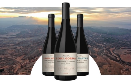 Weinkellerei San Gregorio