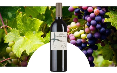 Château La Croix Lartigue