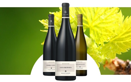 Domaine Gilles Flacher