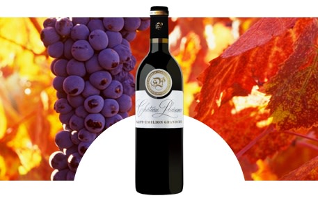 Château Plaisance (Saint Emilion)