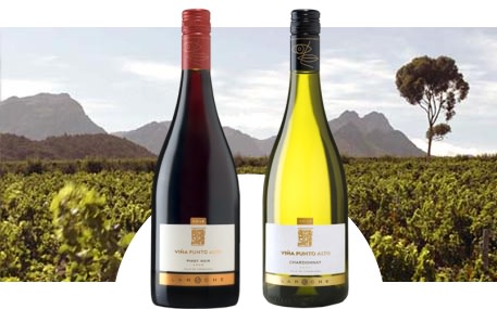 Laroche - Vina Punto Alto