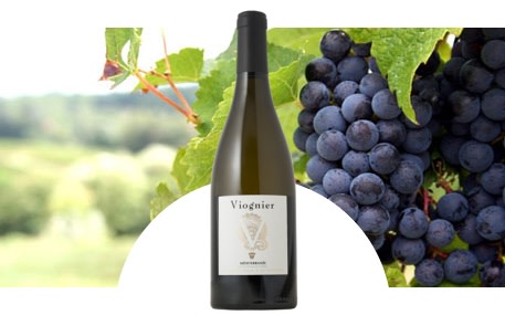 Vignerons du Mont Ventoux