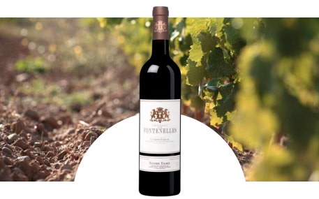 Château de Fontenelles