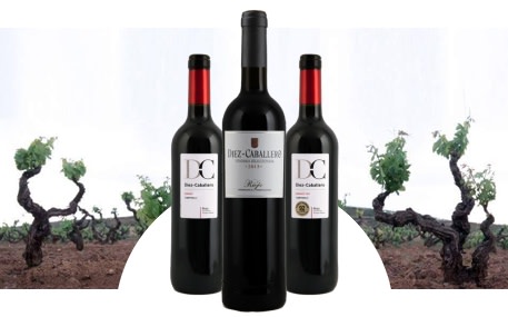 Bodegas Diez-Caballero