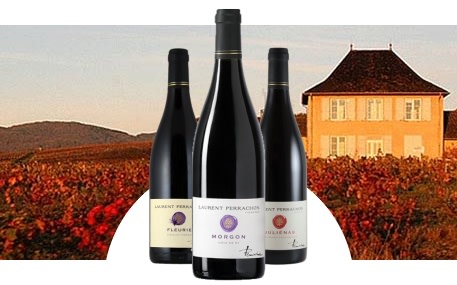 Vignobles Laurent Perrachon