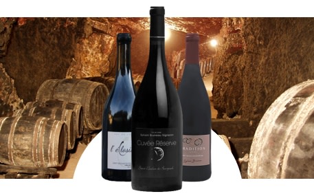 Sylvain Bruneau Vigneron