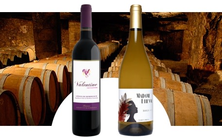 Château Lamothe de Haux