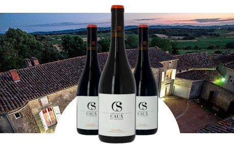 Château de Caux et Sauzens