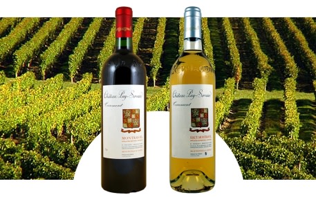 Château Puy Servain