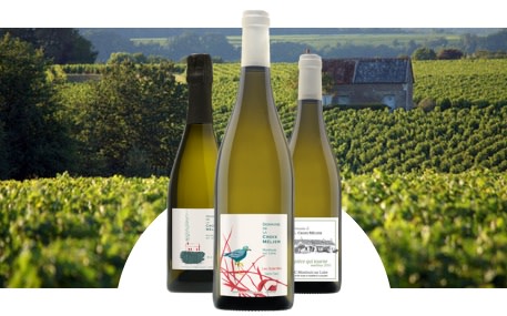 Domaine La Croix Mélier