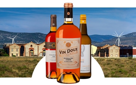 Arnaud de Villeneuve