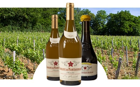 Domaine de Montbourgeau