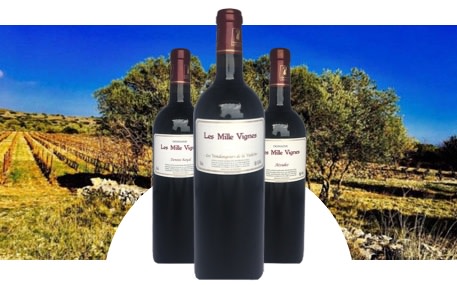 Domaine Les Mille Vignes