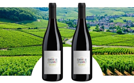 Domaine de L'Etournet