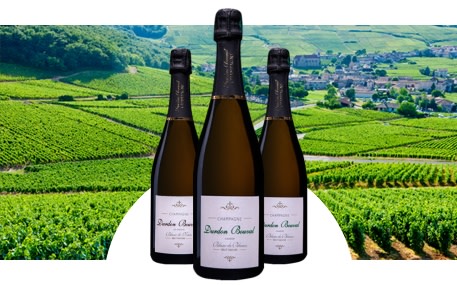 Champagne Durdon Bouval