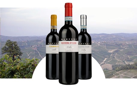 Domaine Giovanni Manzone