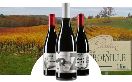 Château les Croisille