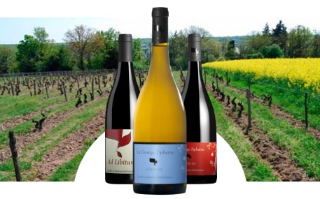 Domaine La Grange Tiphaine