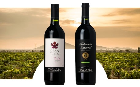 Hacienda Bodega Tacama