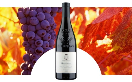 Casa François-Xavier Nicolas