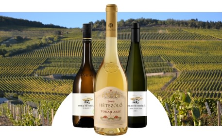 Domaine Tokaj-Hetszölö
