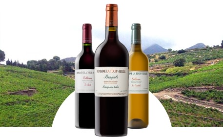 Domaine La Tour Vieille