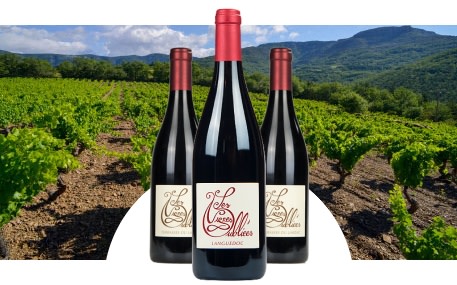 Les Vignes Oubliées