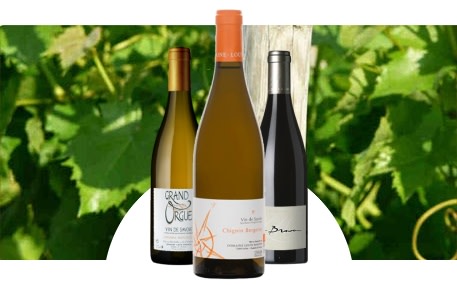 Domaine Louis Magnin