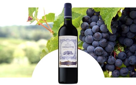 Château Violette