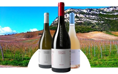 Nicolas Mariotti-Bindi