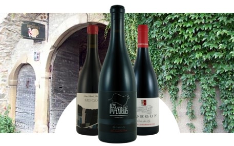 Domaine Louis-Claude Desvignes