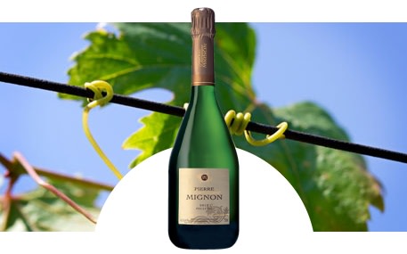 Champagner Pierre Mignon
