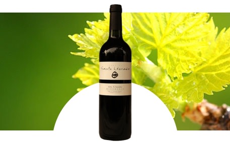 Domaine Sainte-Léocadie