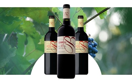 Les Notables de Maucaillou