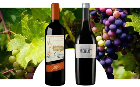 Château Maison Neuve